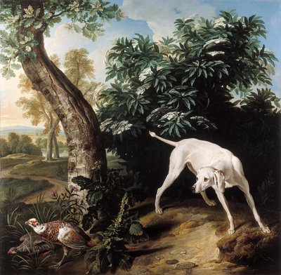 Witte hond voor een vlierstruik door Alexandre Francois Desportes